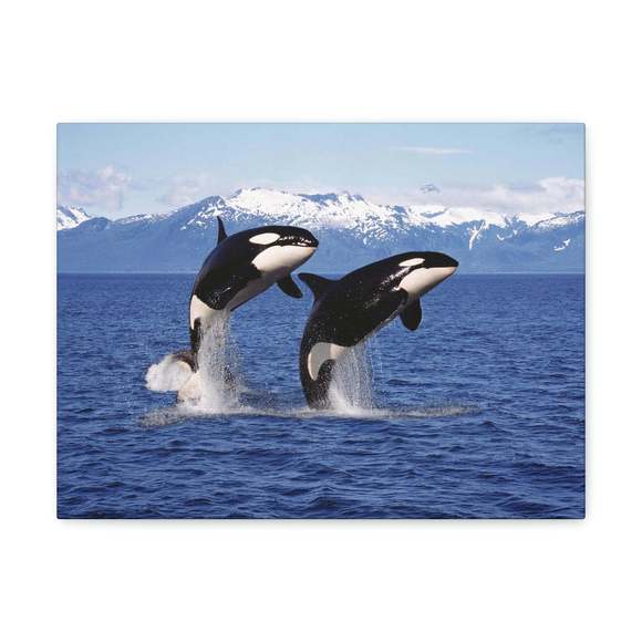 Funny Whale Silly Whale Scene Couple Wall Art Ready to Hang Unframed